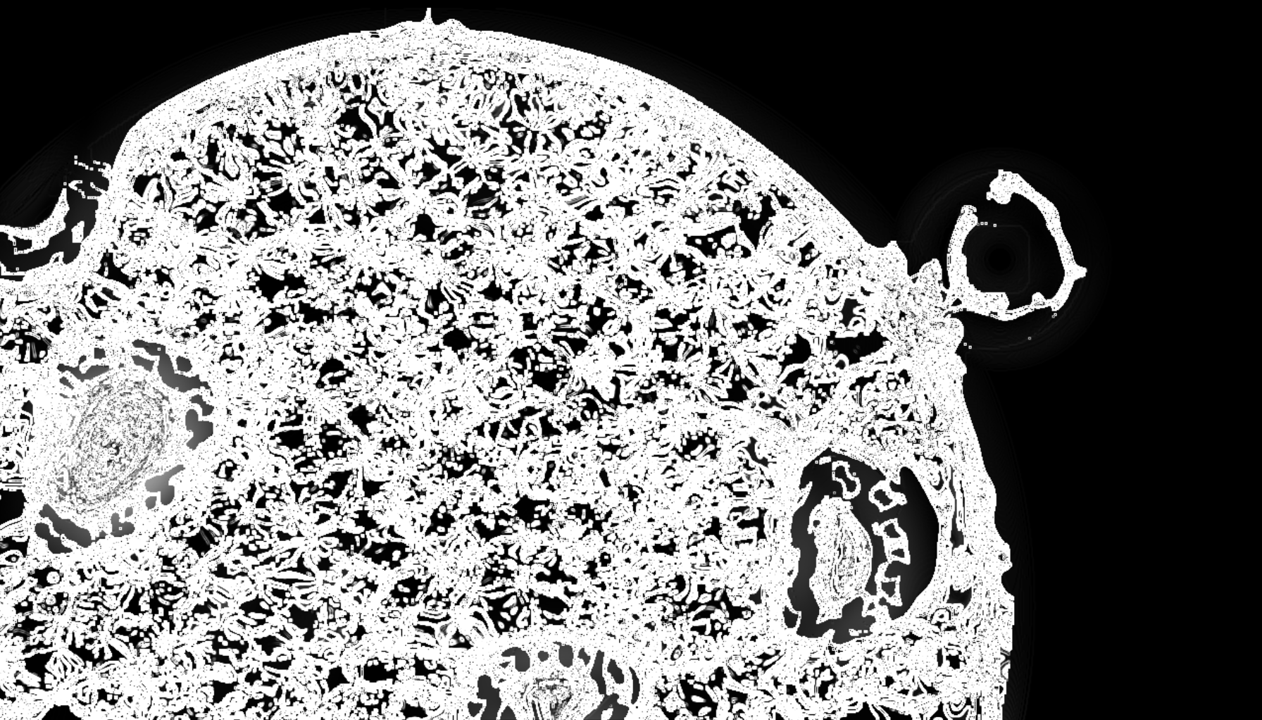 A still from Unplug, showing a pulsating sun-like black and white mass with several imperfections.